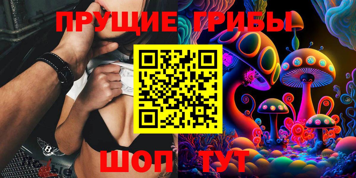 Галлюциногенные грибы Psilocybe Тулун