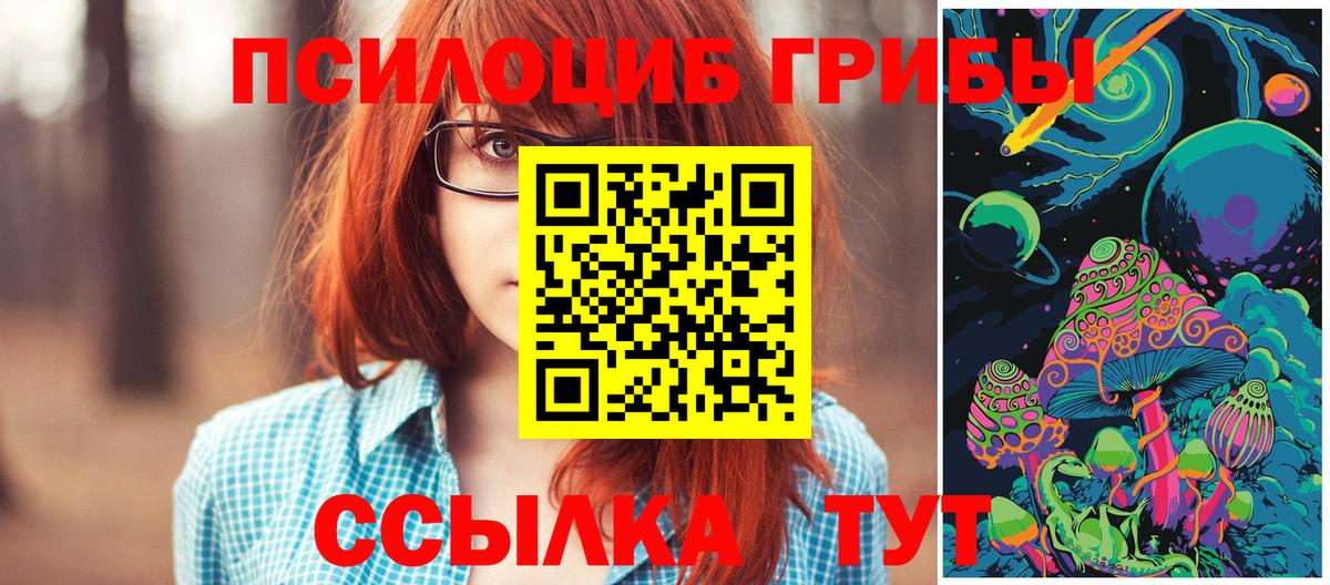 Тулун  Галлюциногенные грибы мицелий  Вход с VPN 